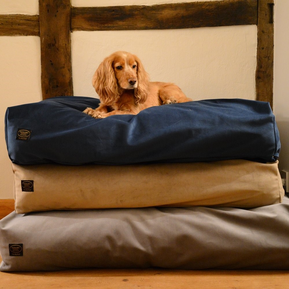 dog beds